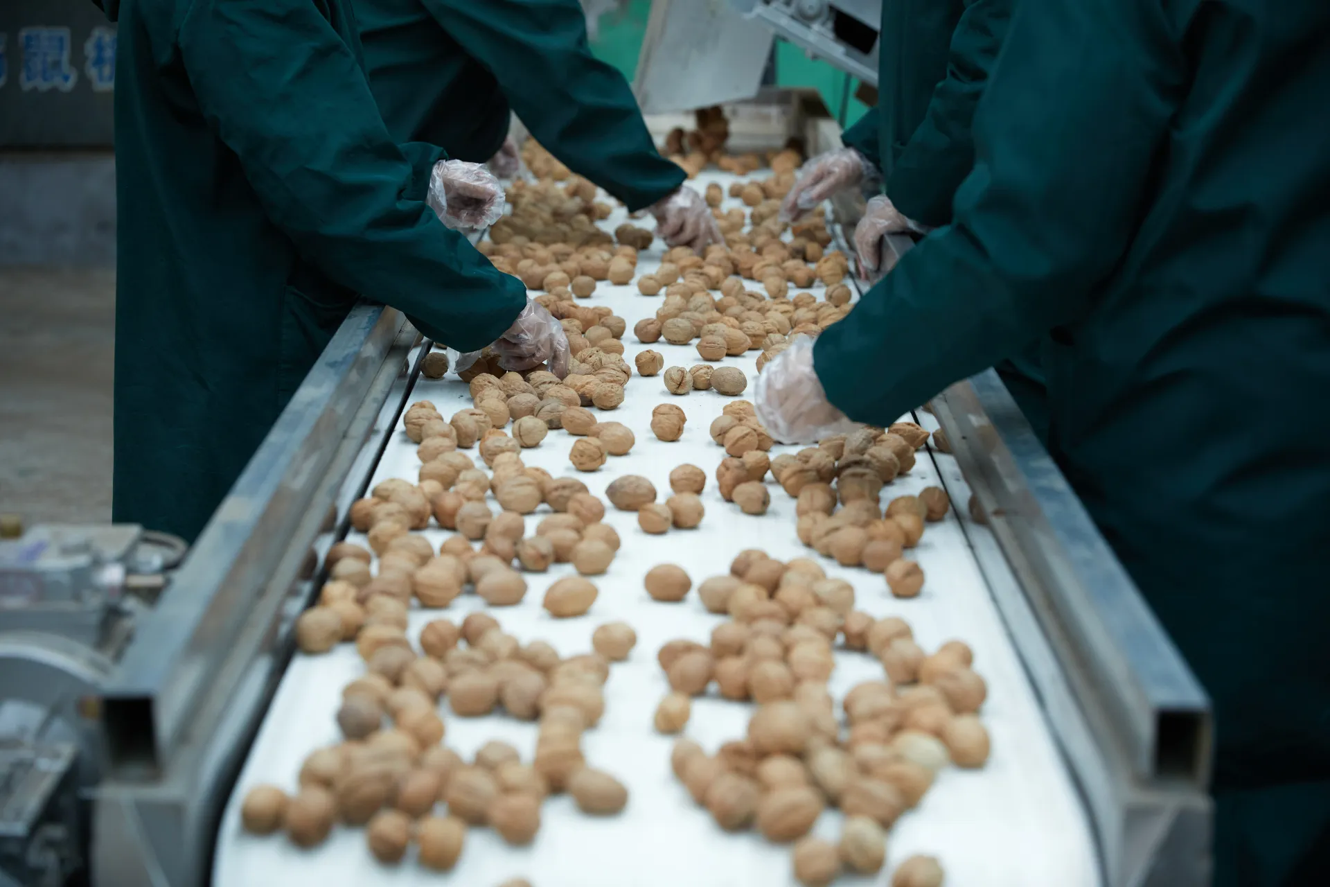 Hebei Luhua Foreign customers visit factories