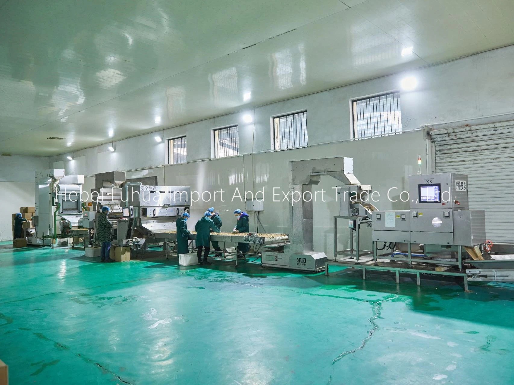 walnuts manufacturers