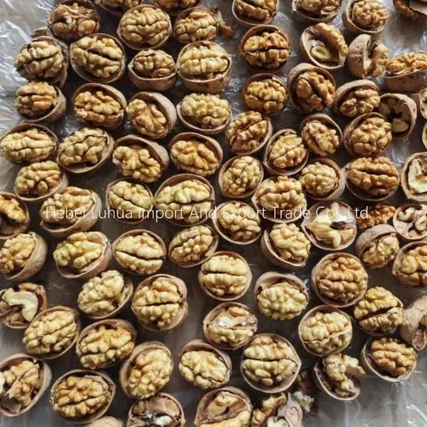 Walnut for Brain Development