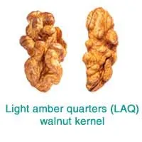 Walnut Kernel (16)