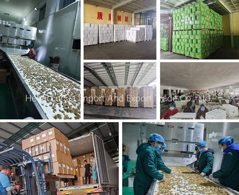 Walnut Halves for Sale: A Complete Guide to Quality and Grades