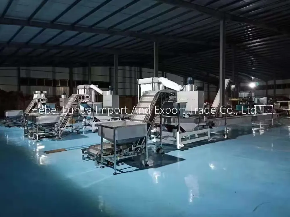Complete Walnut Kernel Production Line In China