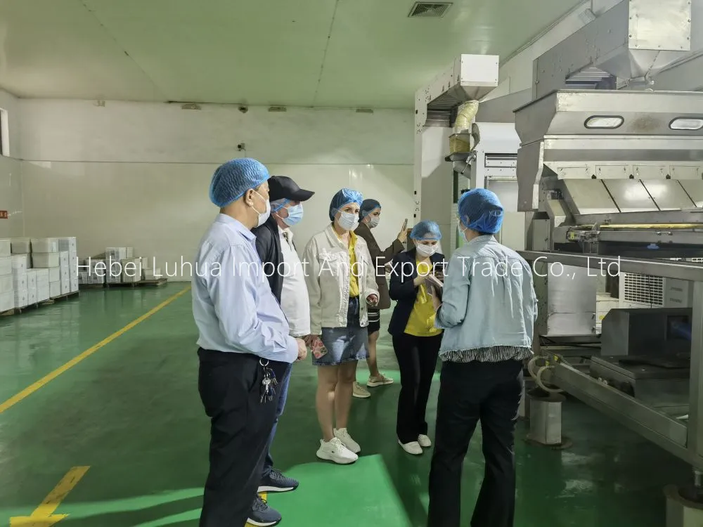 Russian Merchants Visiting The Factory For Negotiation Russian Merchants Visiting The Factory For Negotiation