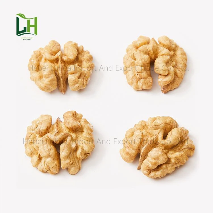 Walnut Kernel Light Halves China Walnut Without Shell Price Wholesale Walnut Nut