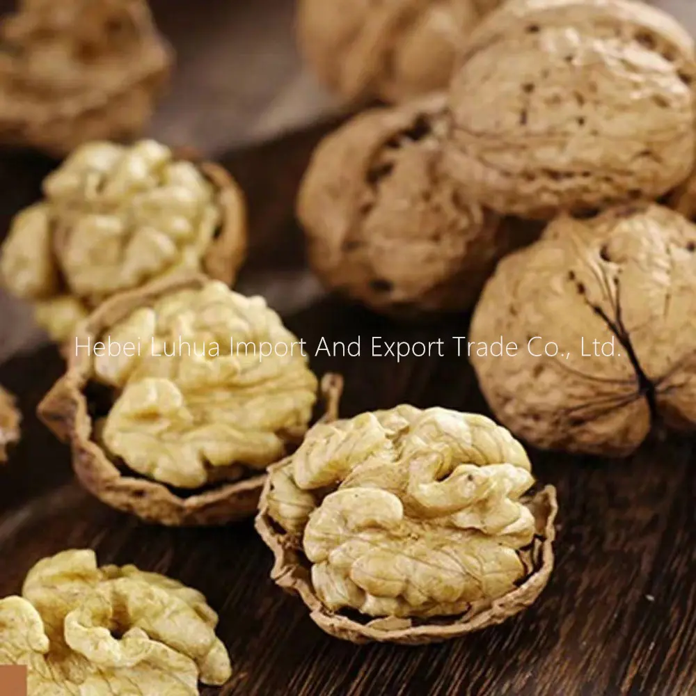 China Walnuts Yunnan Walnuts In Shell