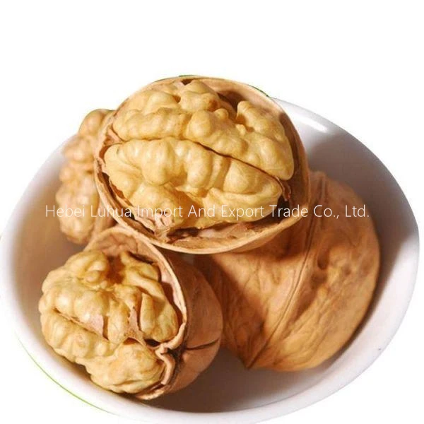 185 Walnut In Shell Unwashed