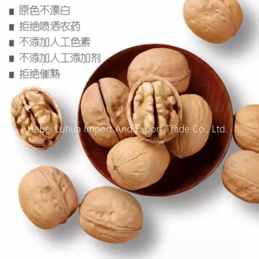 Benefits of Walnut for Brain Development | Nutritional Powerhouse for Cognitive Health