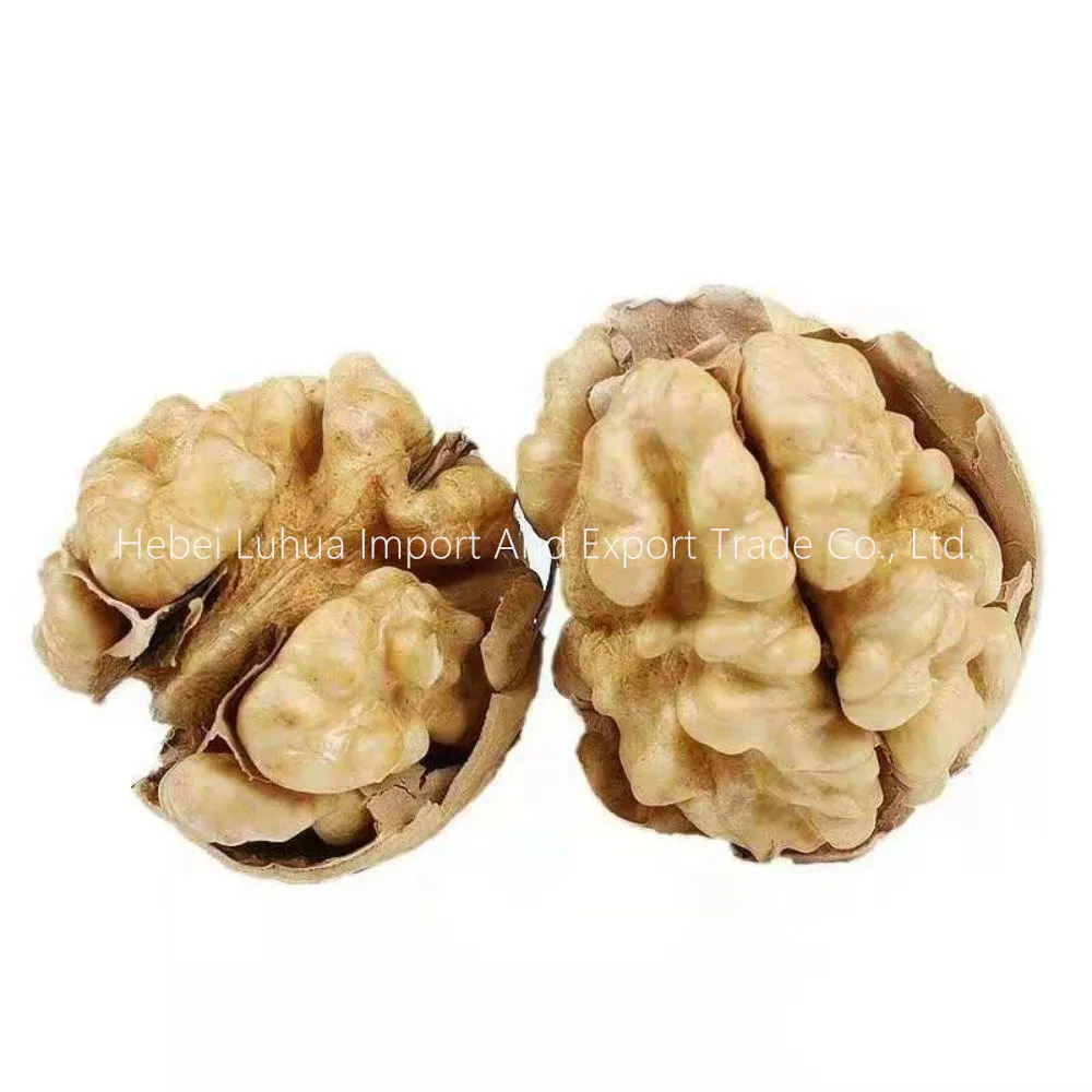 Premium Walnut Without Shell 1kg - Raw, Shelled & Fresh