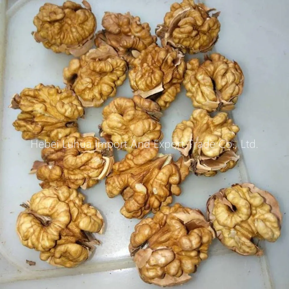 Premium Walnut Without Shell 1kg | Fresh Raw Shelled Walnuts