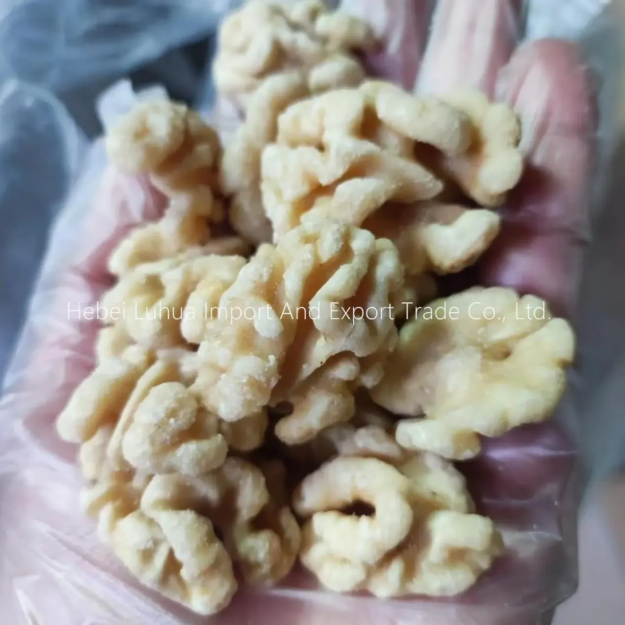 Skinless Walnuts - Hebei Luhua Import and Export Trade Co., Ltd.|BRC Certified, Timely Delivery