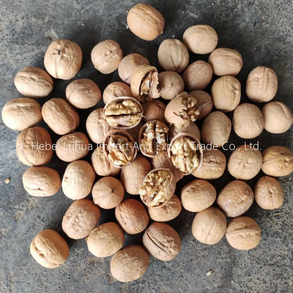 Premium Whole Walnuts For Sale - Fresh, Quality & Bulk