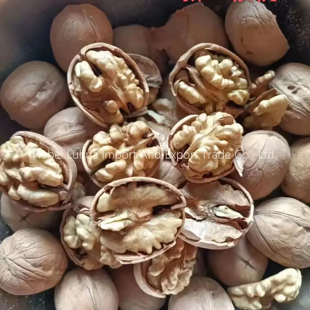 Premium Whole Walnuts For Sale - Fresh, Quality & Bulk
