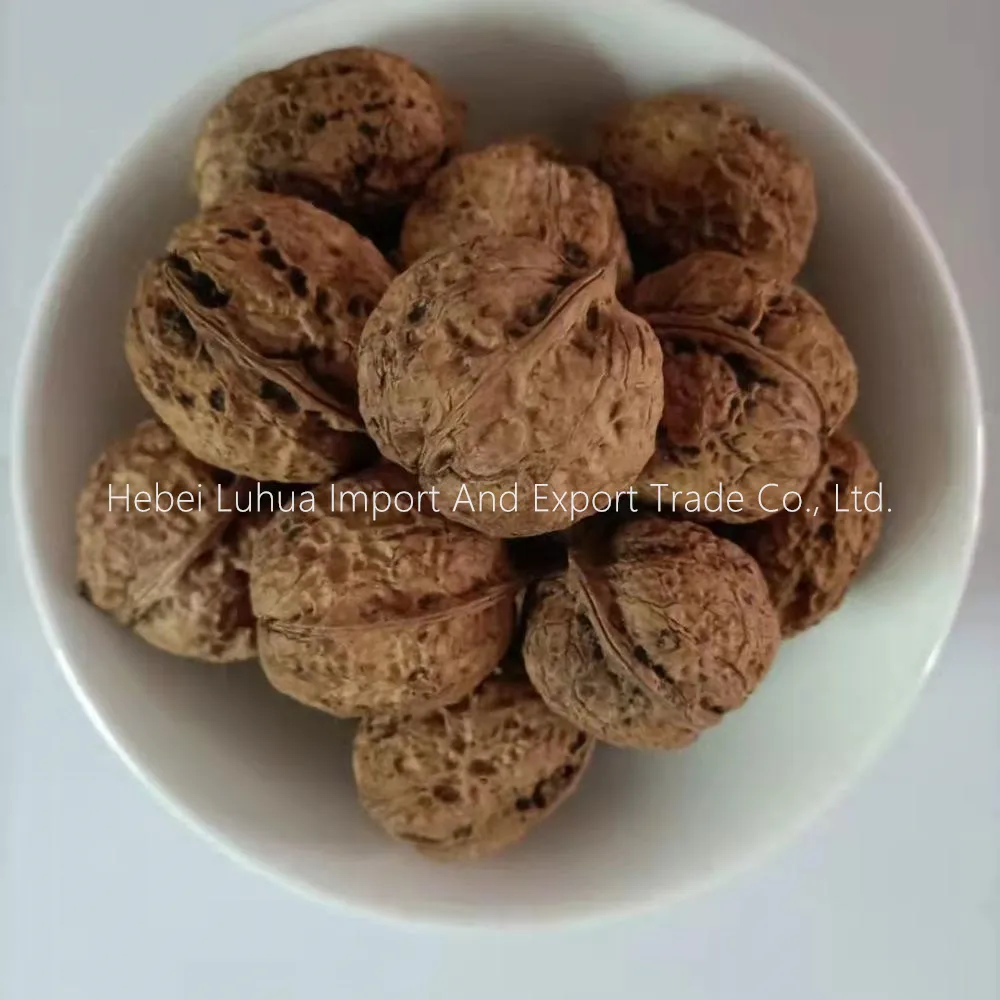Competitive Walnut Selling Price | Quality Bulk Walnuts