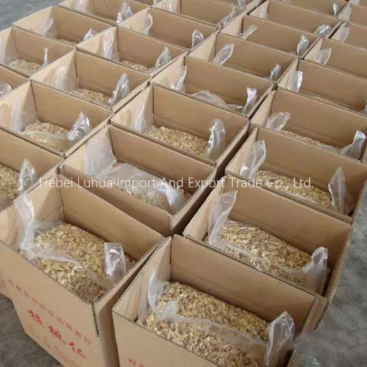 skinless walnuts - Hebei Luhua Import and Export Trade Co., Ltd.