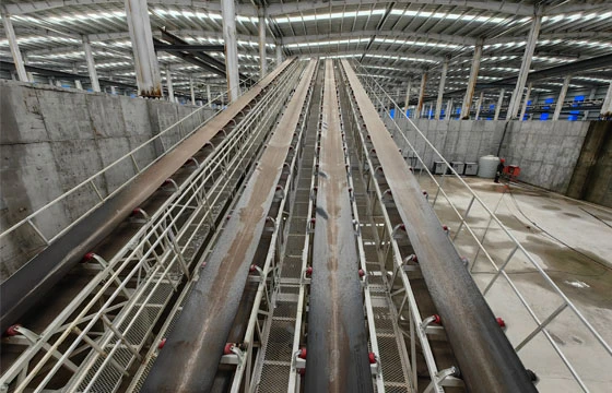 conveyor roller