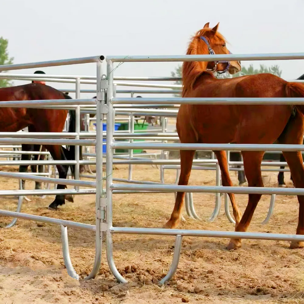 Cheap Horse Panels Cost Effective Without Compromising Safety