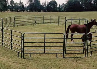 Containing Foals with Horse Corral Panels
