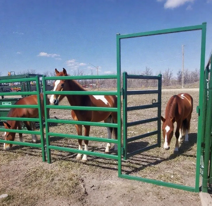 Galvanized Cattle Gate Zinc Coating Fights Rust Long-Term