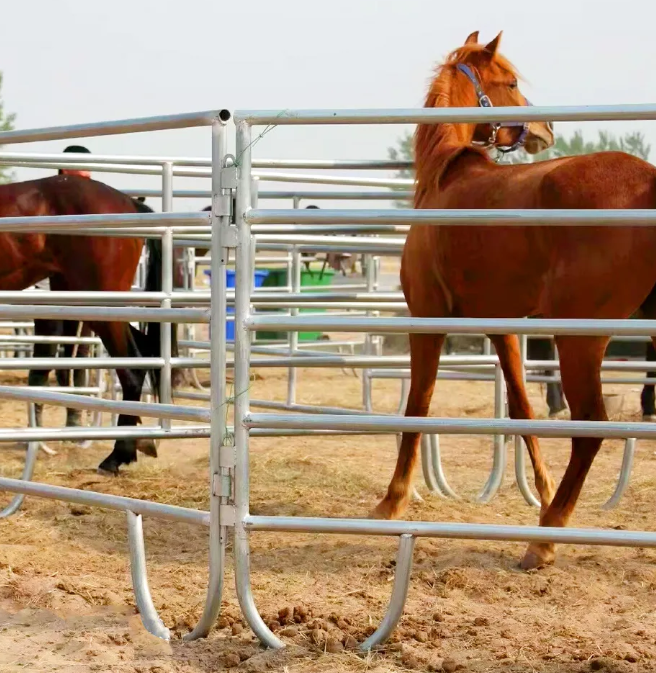 Horse Panels Kick-Proof Lower Section Guards Against Injury Horse Panels Kick-Proof Lower Section Guards Against Injury