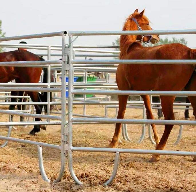 Horse Panels Custom Lengths Fit Different Pasture Sizes