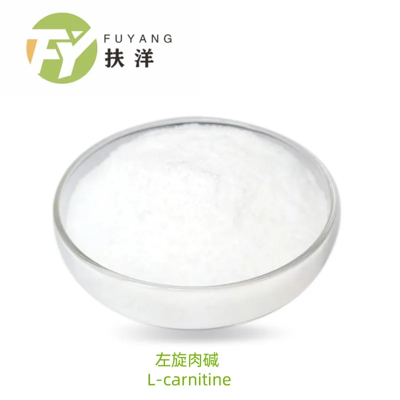 Buy L-Carnitine for Sale: Quality Types & Bulk Prices