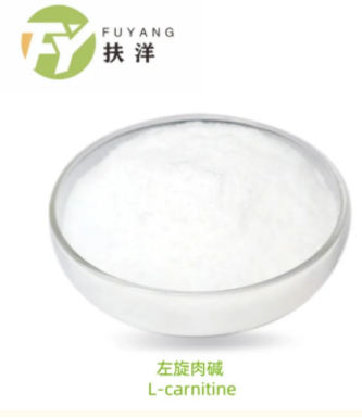 Wholesale L Carnitine Powder Global Service Leader