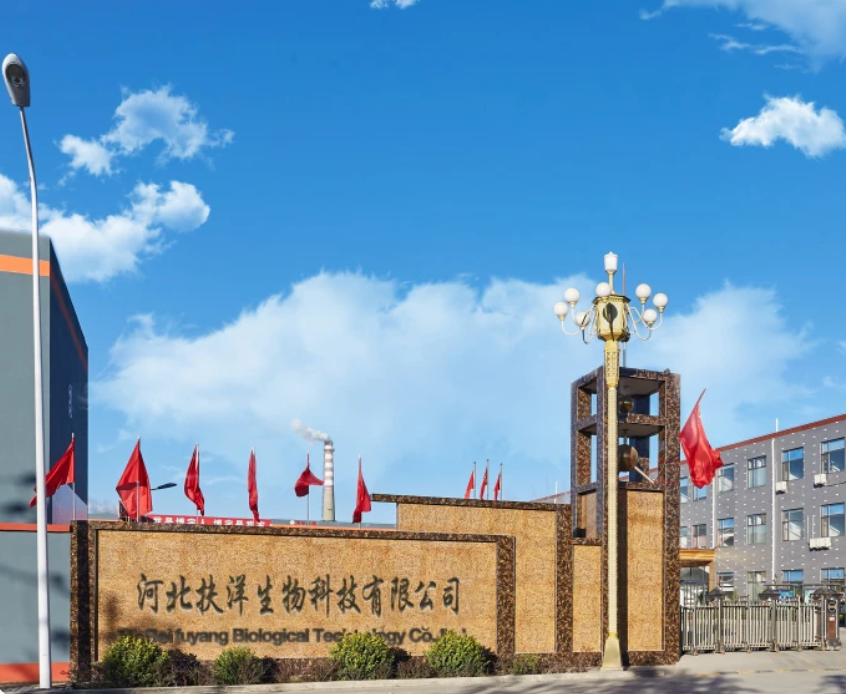 Betaine Hcl Global Technical Service Leader Provider