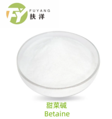 Betaine Hcl Global Technical Service Leader Provider