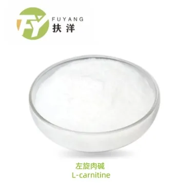 Essential Benefits and Applications of Betaine HCl Supplements