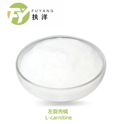 Exploring the Varieties and Benefits of L Carnitine Supplements for Weight Loss