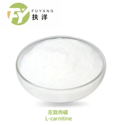 Exploring the Varieties and Benefits of L Carnitine Supplements for Weight Loss