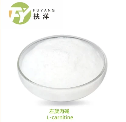 The Power of L-Carnitine: Your Ultimate Guide to This Dynamic Supplement