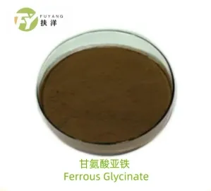 The Multifaceted Role of Amino Acids in Food and Health