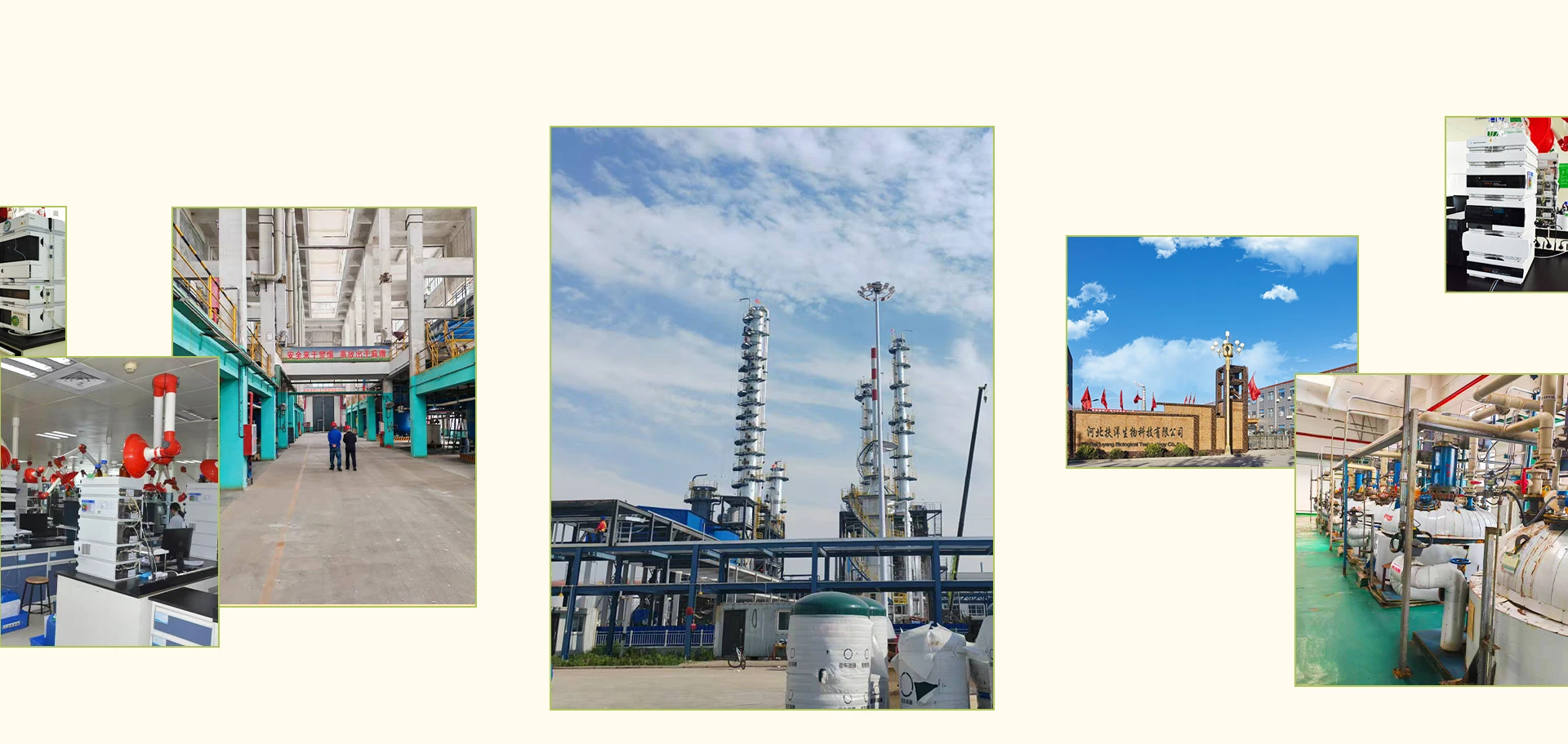 types of amino acids