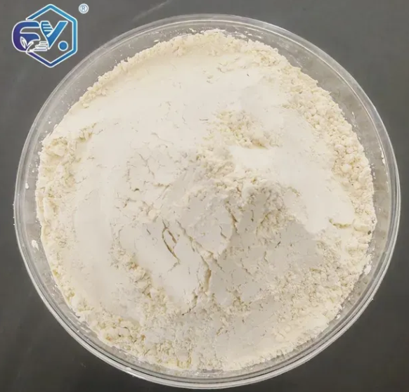Reaction Intermediates in Organic Chemistry