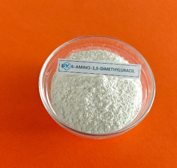 Role of 1,3 - Dimethyluracil in Nucleic Acid Chemistry