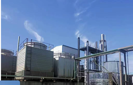 1,3-Dimethylurea and the Future of Food Flavor