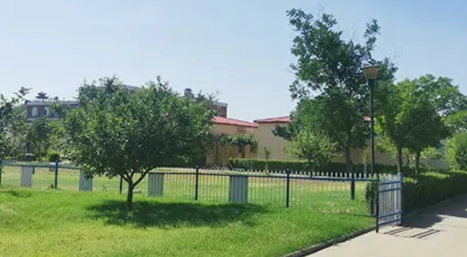 1,3-Dimethylurea's Silent War Against Prion Propagation