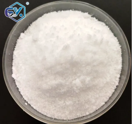 1,3-Dimethylurea's Silent War Against Prion Propagation