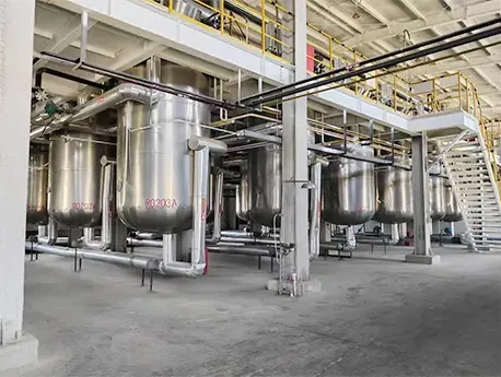 Mechanism of DHP Protecting Group Introduction and Deprotection Reactions