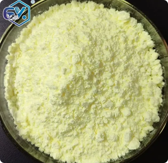 Mechanism of DHP Protecting Group Introduction and Deprotection Reactions