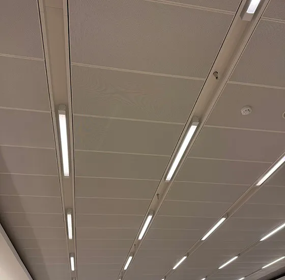 Perforated Metal For Ceiling System