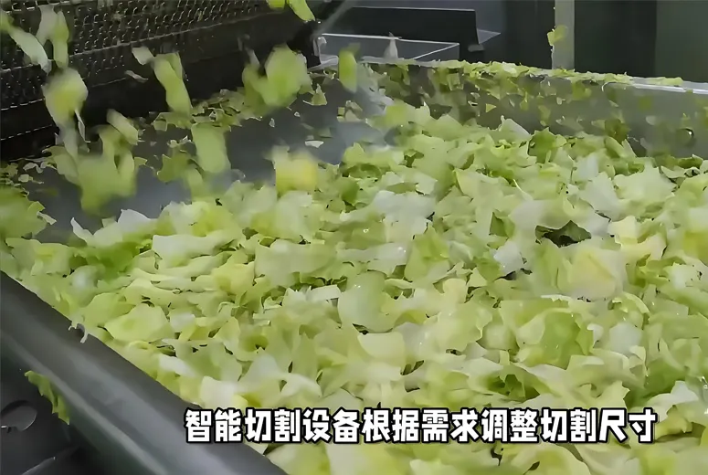 Blades Are Widely Used In The Field Of Food Processing