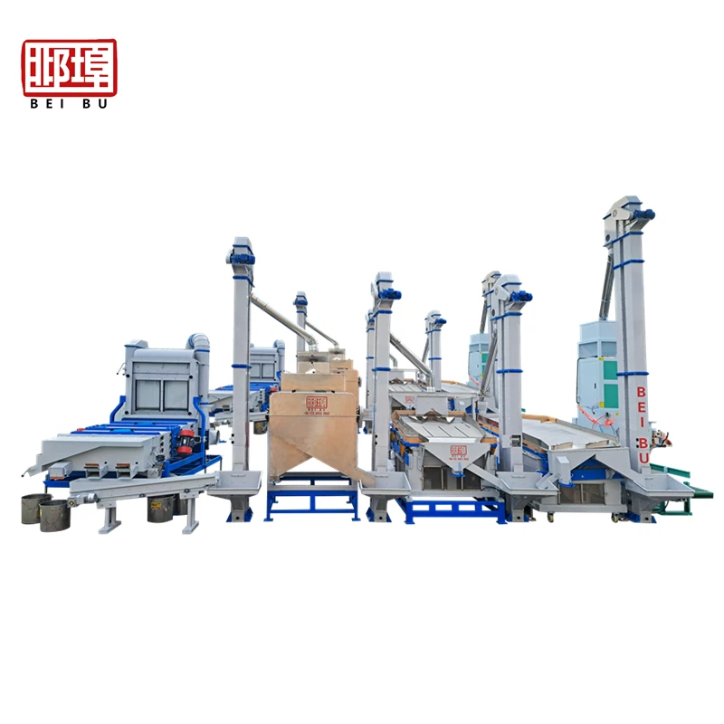 High Performance Coffee Bean Cleaning Processing Line in Guinea by Hebei Beibu Machinery Technology Co