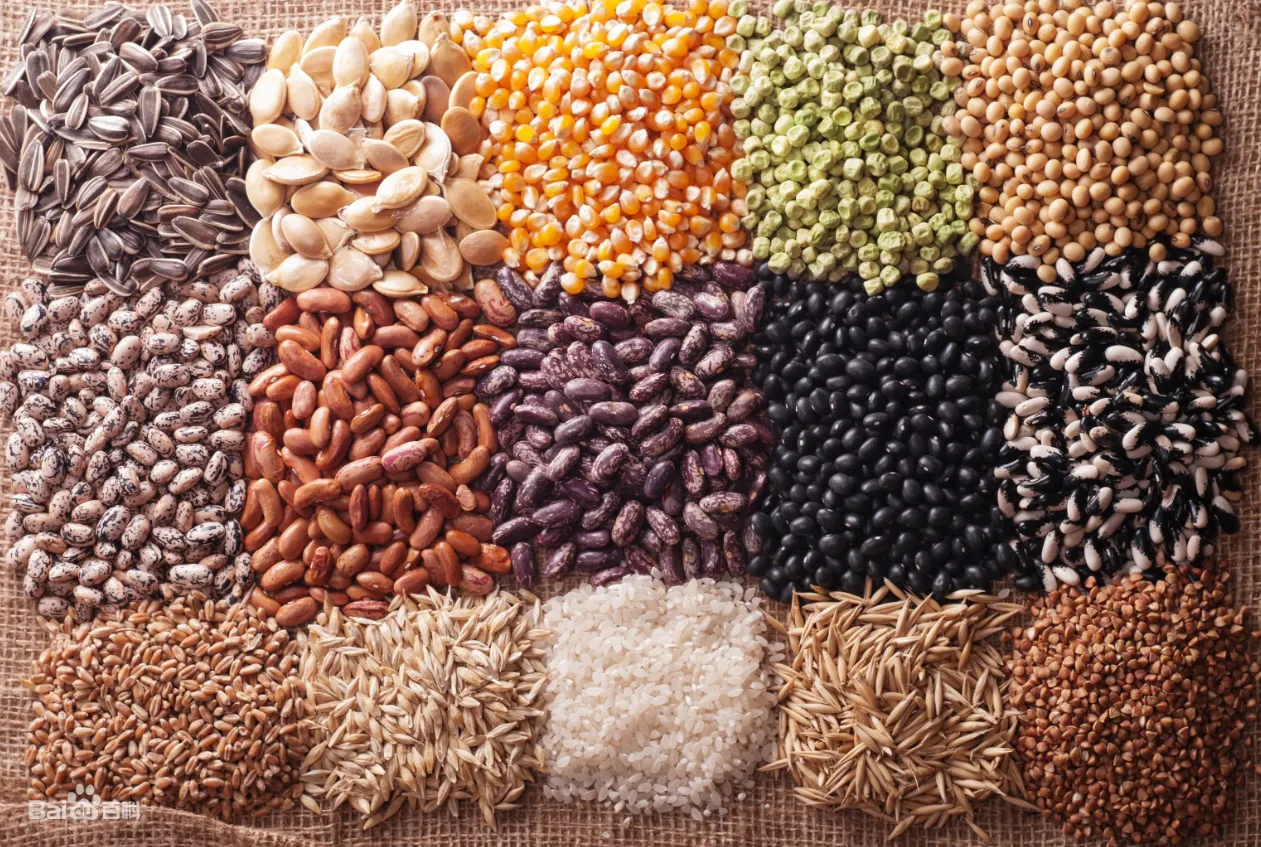 sesame and pulses cleaning line