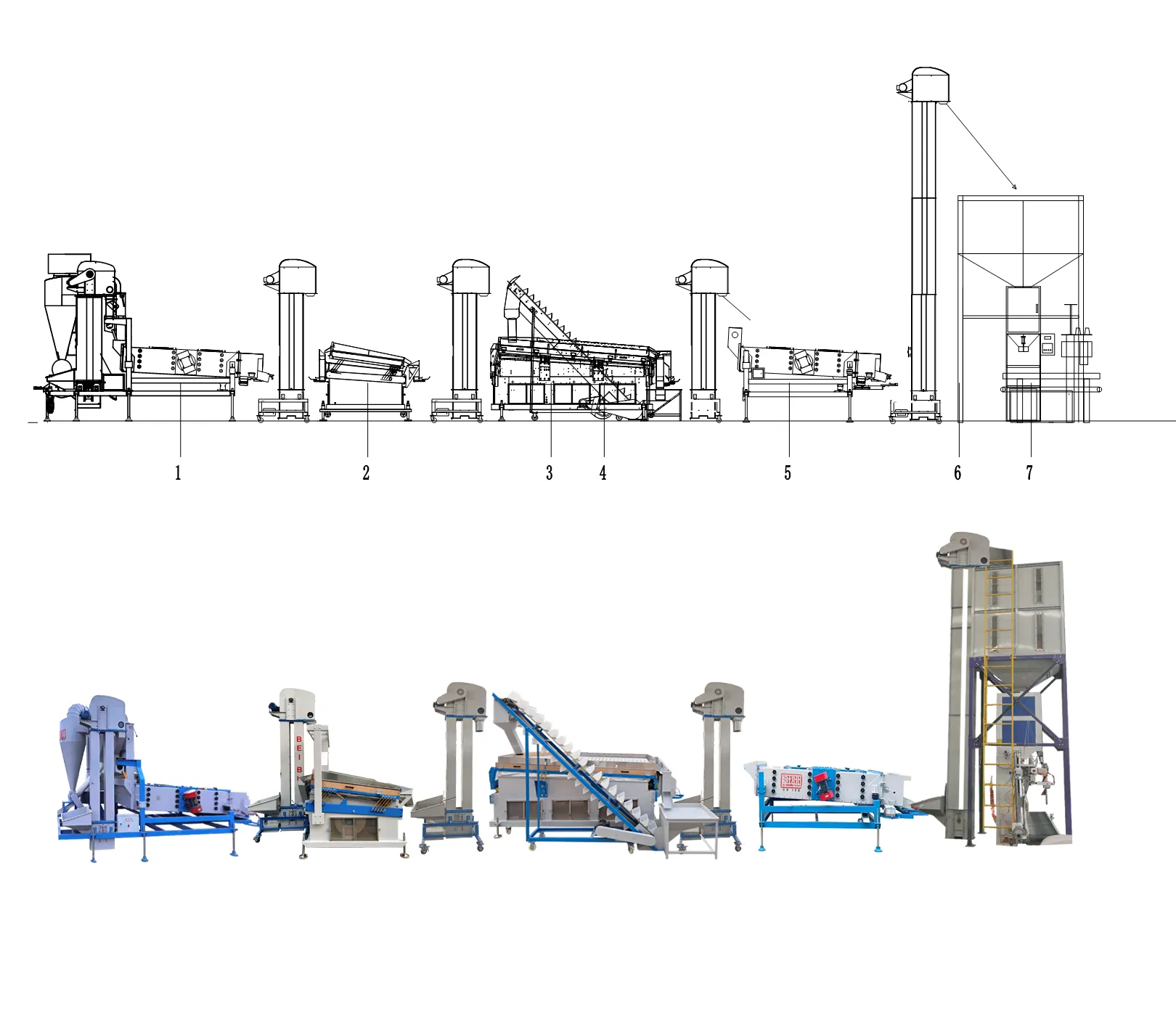 New Coffee Bean Cleaning Machine at Guinea-Hebei Beibu Machinery | Efficient & Reliable