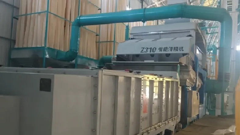 Hibiscus Flower Cleaning Production Line Installation Completed