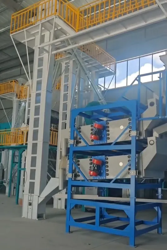 Hibiscus Flower Cleaning Production Line Installation Completed