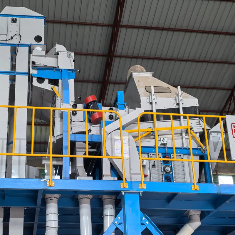 sesame and pulses cleaning line