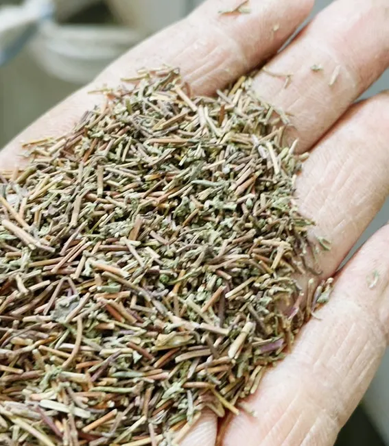 BEIBU's Trip to Egypt: Expanding Horizons in Grain and Herbs Cleaning Technology